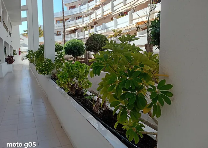 Bonito Atico Costa Adeje 501 * Playa Feñabe